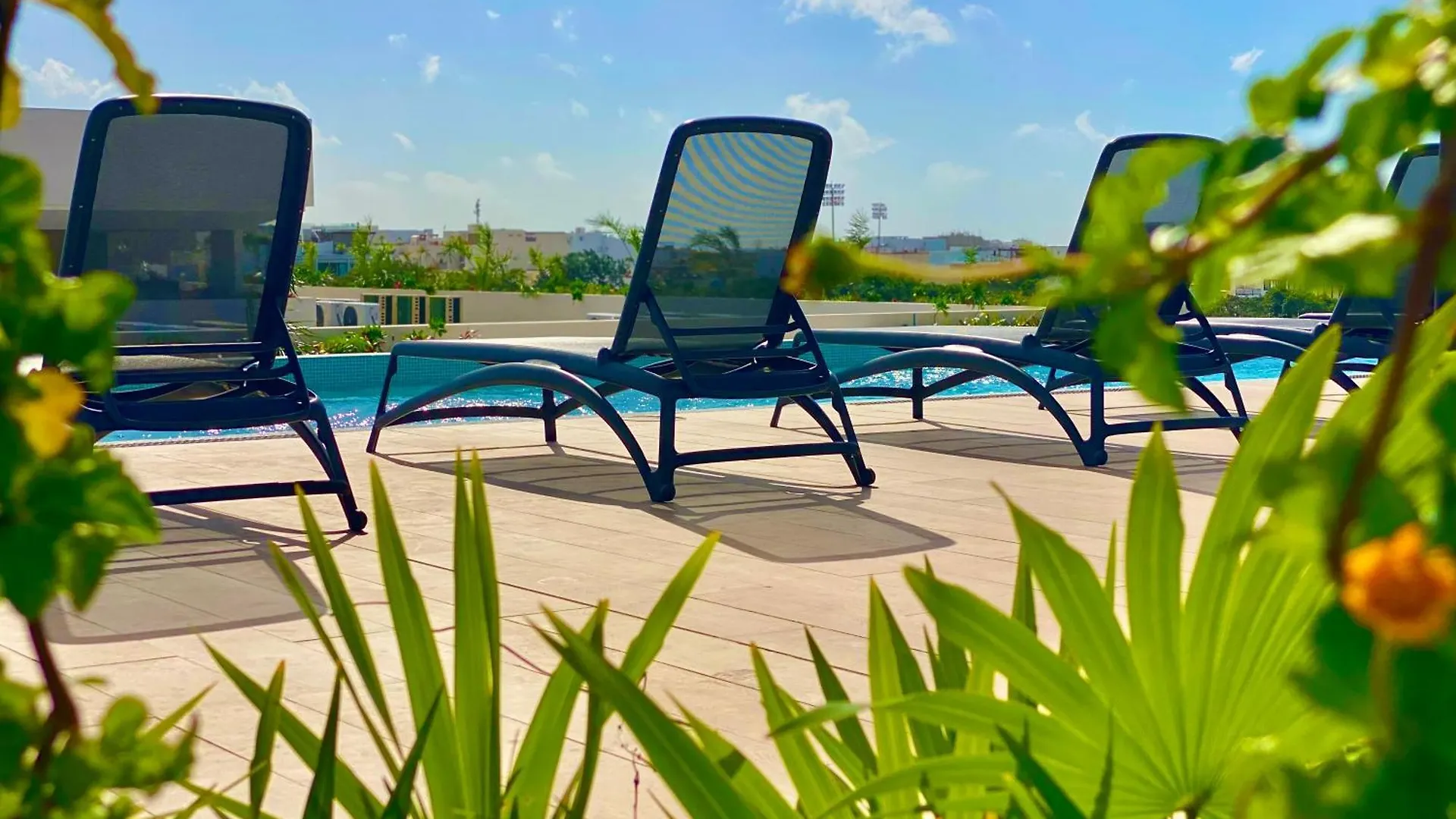 Urban Towers By Andiani Travel Apartment Playa del Carmen Mexico